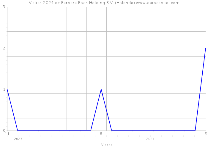 Visitas 2024 de Barbara Boos Holding B.V. (Holanda) 