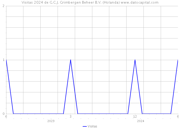 Visitas 2024 de G.C.J. Grimbergen Beheer B.V. (Holanda) 