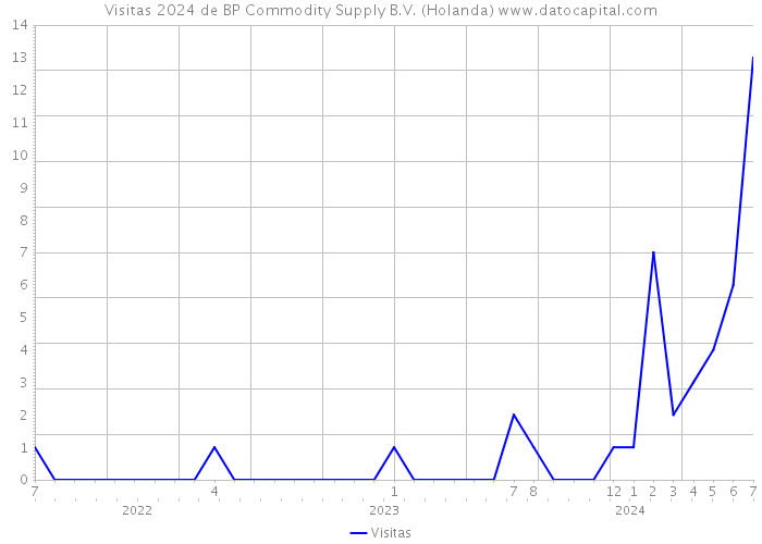 Visitas 2024 de BP Commodity Supply B.V. (Holanda) 
