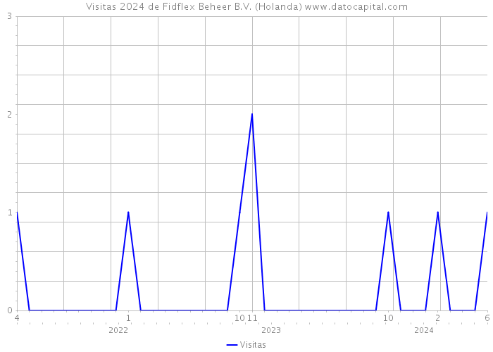 Visitas 2024 de Fidflex Beheer B.V. (Holanda) 