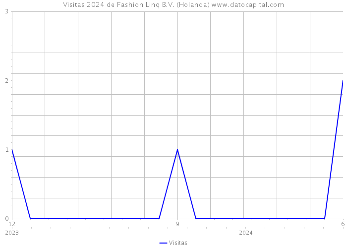 Visitas 2024 de Fashion Linq B.V. (Holanda) 