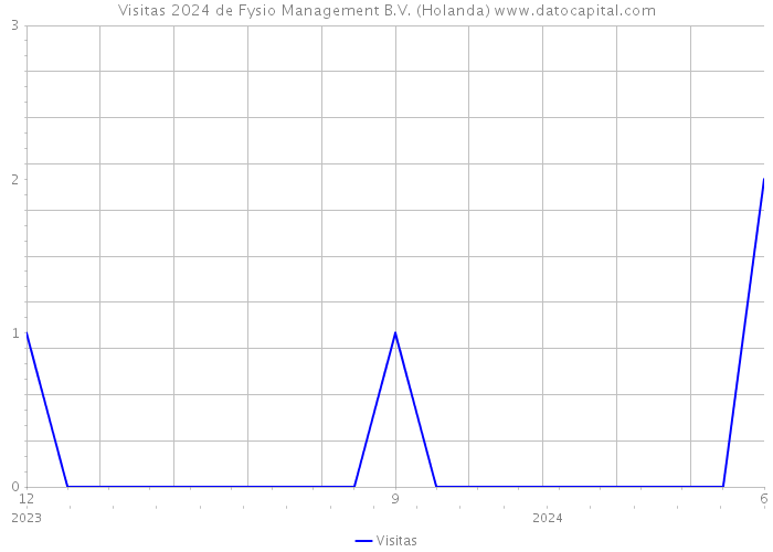 Visitas 2024 de Fysio Management B.V. (Holanda) 