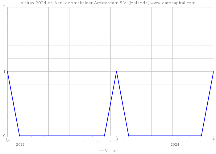 Visitas 2024 de Aankoopmakelaar Amsterdam B.V. (Holanda) 