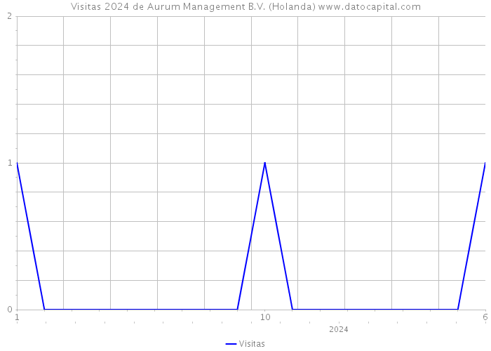 Visitas 2024 de Aurum Management B.V. (Holanda) 