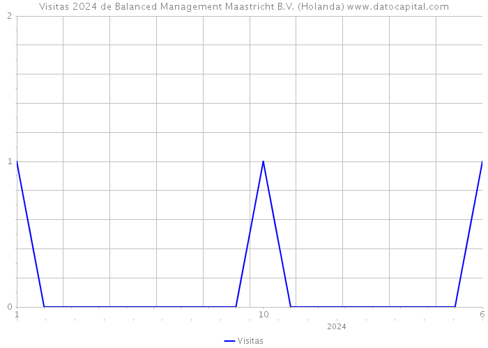 Visitas 2024 de Balanced Management Maastricht B.V. (Holanda) 