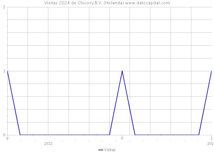 Visitas 2024 de Chicory B.V. (Holanda) 