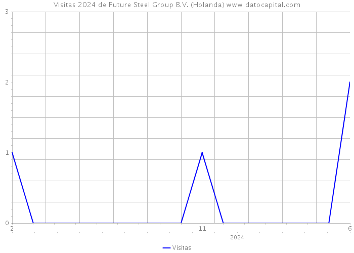 Visitas 2024 de Future Steel Group B.V. (Holanda) 