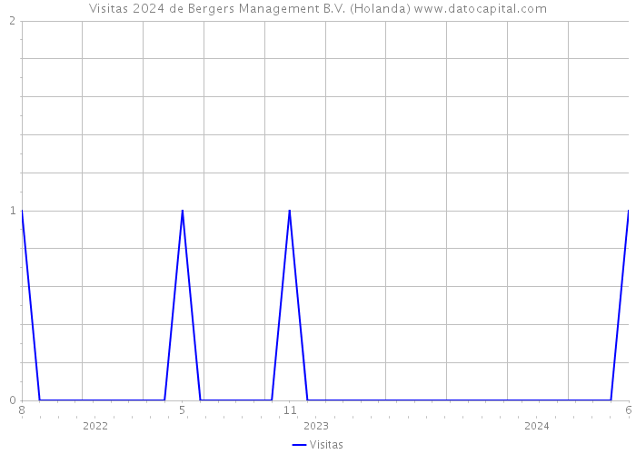 Visitas 2024 de Bergers Management B.V. (Holanda) 