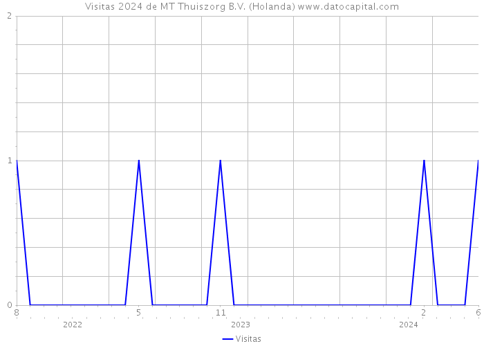 Visitas 2024 de MT Thuiszorg B.V. (Holanda) 