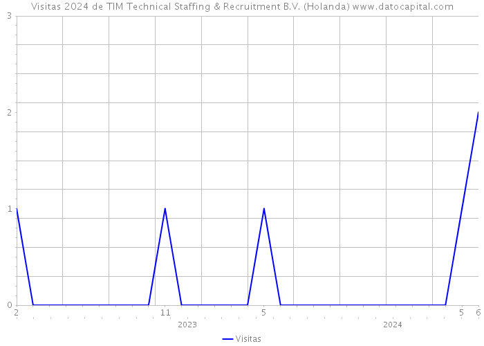 Visitas 2024 de TIM Technical Staffing & Recruitment B.V. (Holanda) 