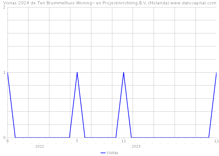 Visitas 2024 de Ten Brummelhuis Woning- en Projectinrichting B.V. (Holanda) 