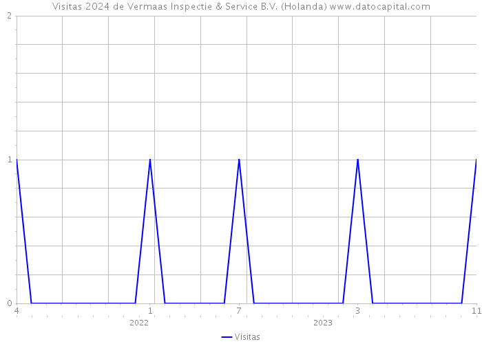 Visitas 2024 de Vermaas Inspectie & Service B.V. (Holanda) 