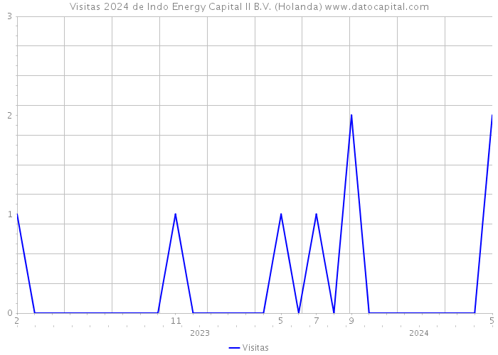 Visitas 2024 de Indo Energy Capital II B.V. (Holanda) 