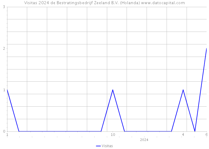 Visitas 2024 de Bestratingsbedrijf Zeeland B.V. (Holanda) 