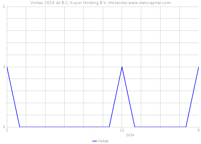 Visitas 2024 de B.C. Koper Holding B.V. (Holanda) 