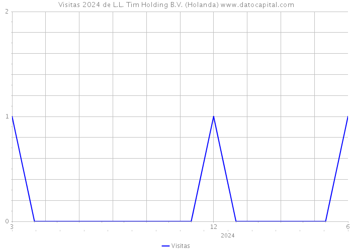 Visitas 2024 de L.L. Tim Holding B.V. (Holanda) 