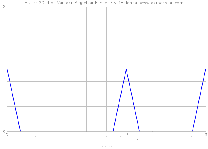 Visitas 2024 de Van den Biggelaar Beheer B.V. (Holanda) 