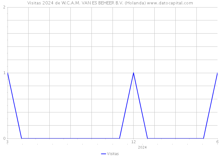 Visitas 2024 de W.C.A.M. VAN ES BEHEER B.V. (Holanda) 