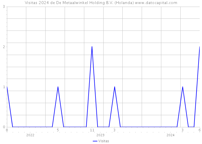 Visitas 2024 de De Metaalwinkel Holding B.V. (Holanda) 