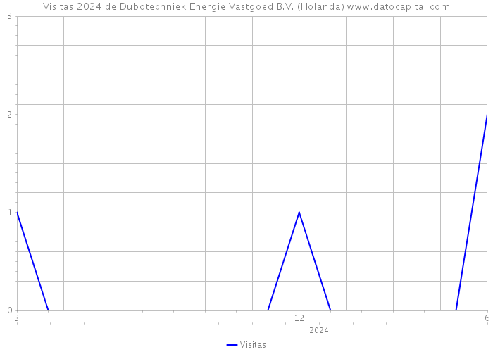 Visitas 2024 de Dubotechniek Energie Vastgoed B.V. (Holanda) 