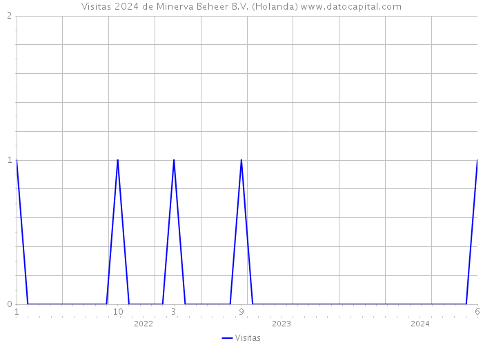 Visitas 2024 de Minerva Beheer B.V. (Holanda) 