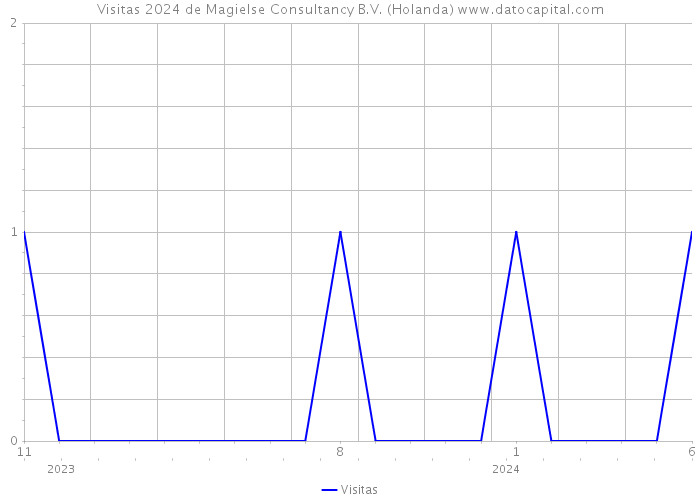 Visitas 2024 de Magielse Consultancy B.V. (Holanda) 