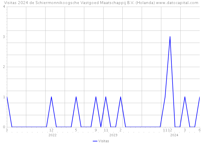 Visitas 2024 de Schiermonnikoogsche Vastgoed Maatschappij B.V. (Holanda) 