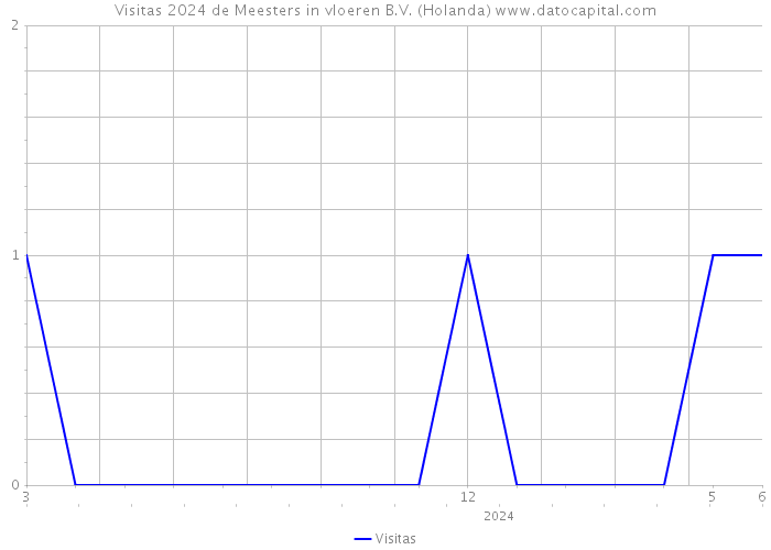 Visitas 2024 de Meesters in vloeren B.V. (Holanda) 