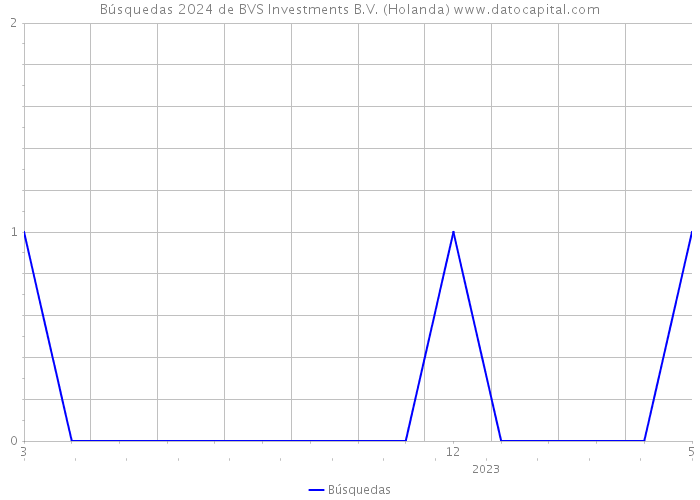 Búsquedas 2024 de BVS Investments B.V. (Holanda) 