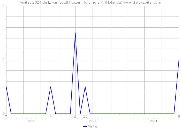 Visitas 2024 de E. van Luttikhuizen Holding B.V. (Holanda) 