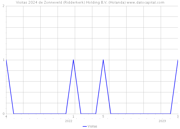 Visitas 2024 de Zonneveld (Ridderkerk) Holding B.V. (Holanda) 