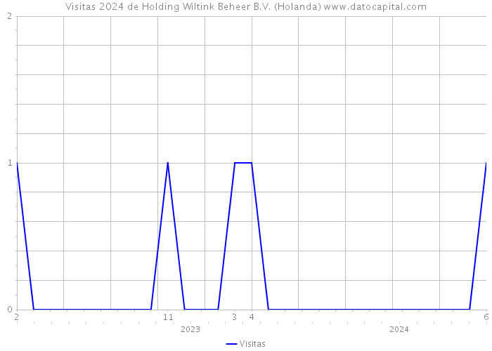 Visitas 2024 de Holding Wiltink Beheer B.V. (Holanda) 