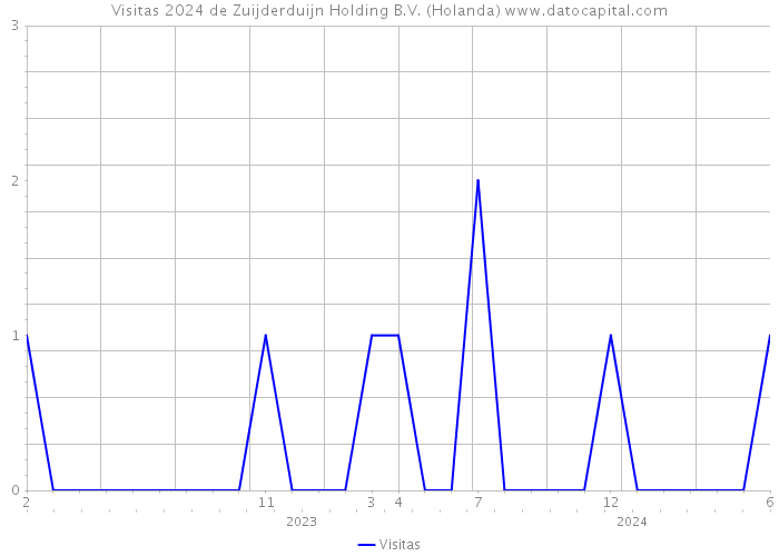 Visitas 2024 de Zuijderduijn Holding B.V. (Holanda) 