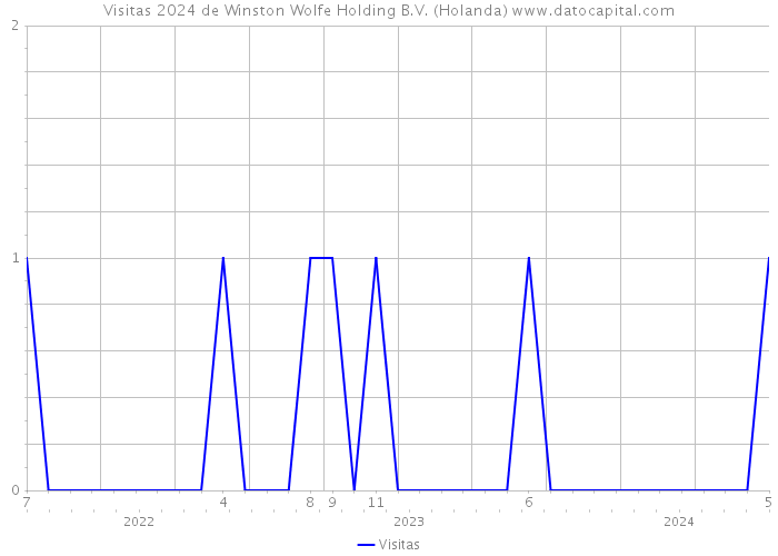 Visitas 2024 de Winston Wolfe Holding B.V. (Holanda) 