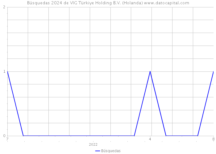 Búsquedas 2024 de VIG Türkiye Holding B.V. (Holanda) 