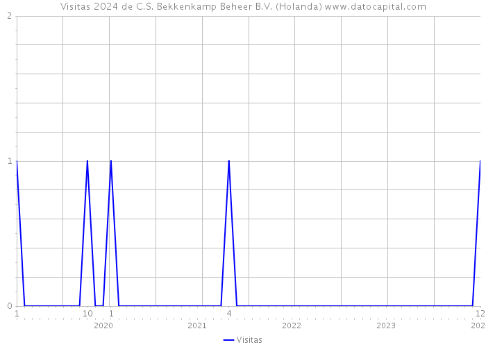 Visitas 2024 de C.S. Bekkenkamp Beheer B.V. (Holanda) 