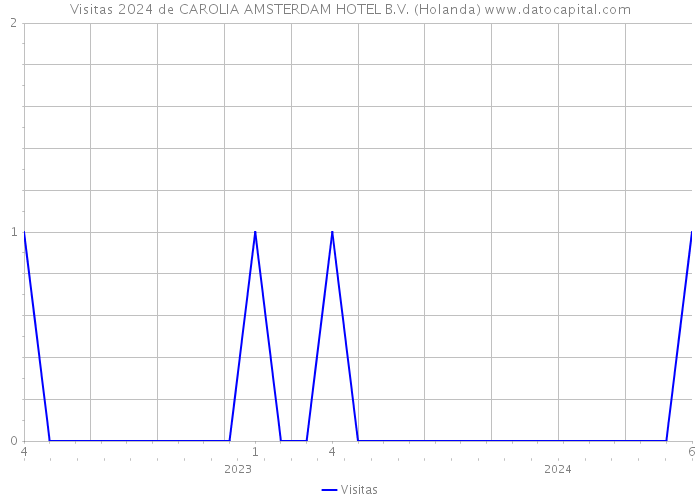 Visitas 2024 de CAROLIA AMSTERDAM HOTEL B.V. (Holanda) 