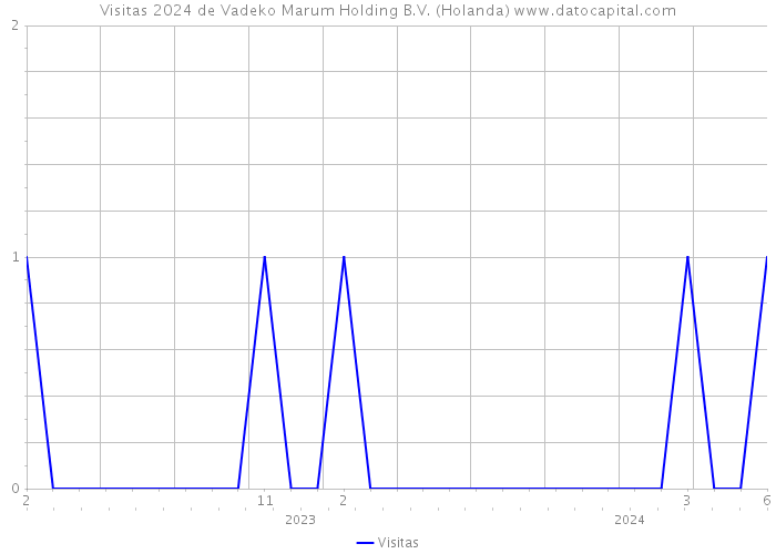 Visitas 2024 de Vadeko Marum Holding B.V. (Holanda) 