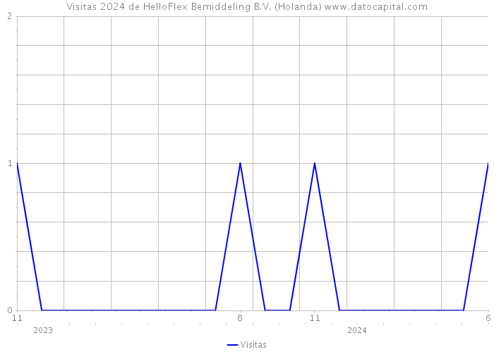 Visitas 2024 de HelloFlex Bemiddeling B.V. (Holanda) 