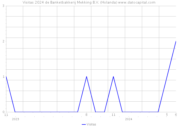 Visitas 2024 de Banketbakkerij Mekking B.V. (Holanda) 