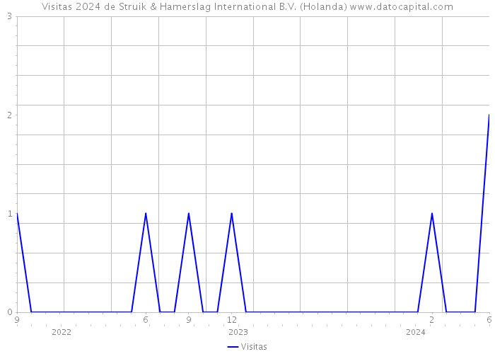 Visitas 2024 de Struik & Hamerslag International B.V. (Holanda) 