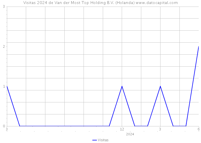 Visitas 2024 de Van der Most Top Holding B.V. (Holanda) 