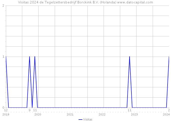 Visitas 2024 de Tegelzettersbedrijf Borckink B.V. (Holanda) 