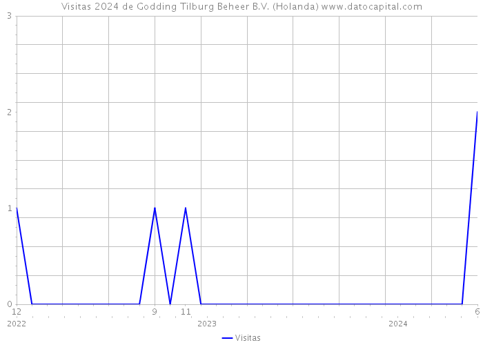 Visitas 2024 de Godding Tilburg Beheer B.V. (Holanda) 
