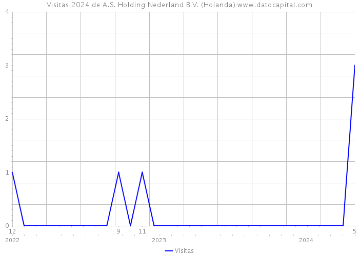 Visitas 2024 de A.S. Holding Nederland B.V. (Holanda) 