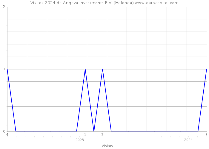 Visitas 2024 de Angava Investments B.V. (Holanda) 