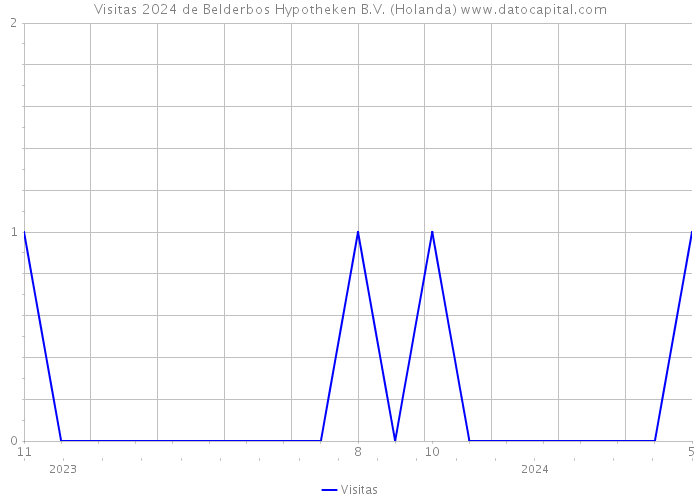 Visitas 2024 de Belderbos Hypotheken B.V. (Holanda) 