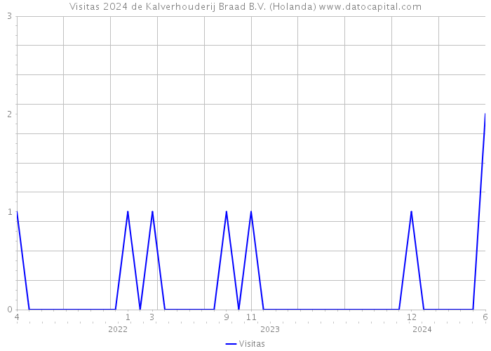 Visitas 2024 de Kalverhouderij Braad B.V. (Holanda) 