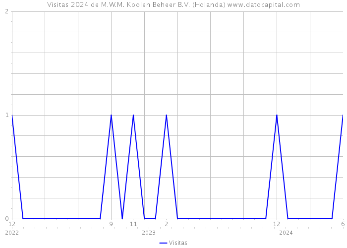 Visitas 2024 de M.W.M. Koolen Beheer B.V. (Holanda) 