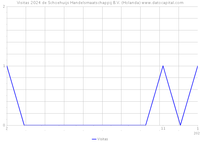 Visitas 2024 de Schoehuijs Handelsmaatschappij B.V. (Holanda) 